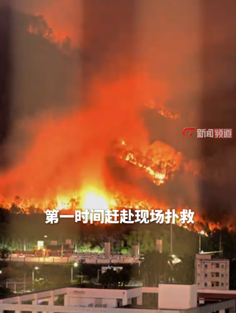 深圳坪山突发山火警示：中科永安消防方案筑牢山林安全防线
